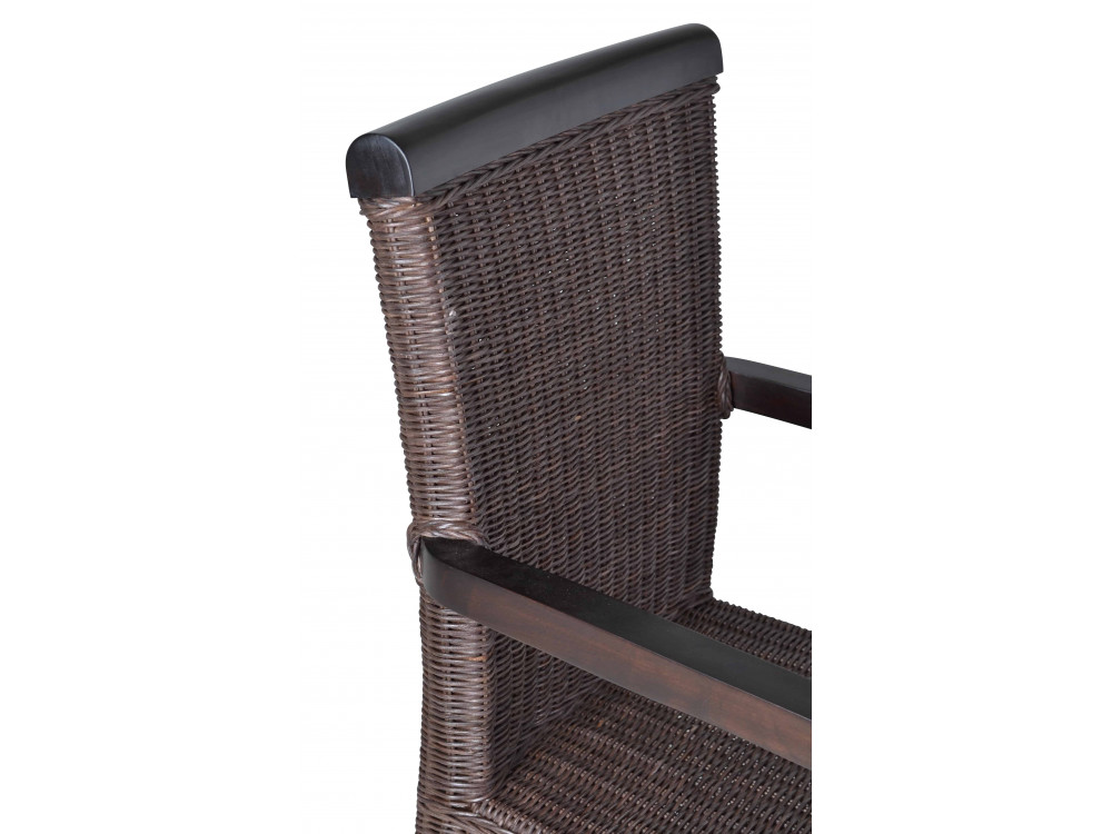 Armlehnstuhl Rattan Modern Mahagoni Braun