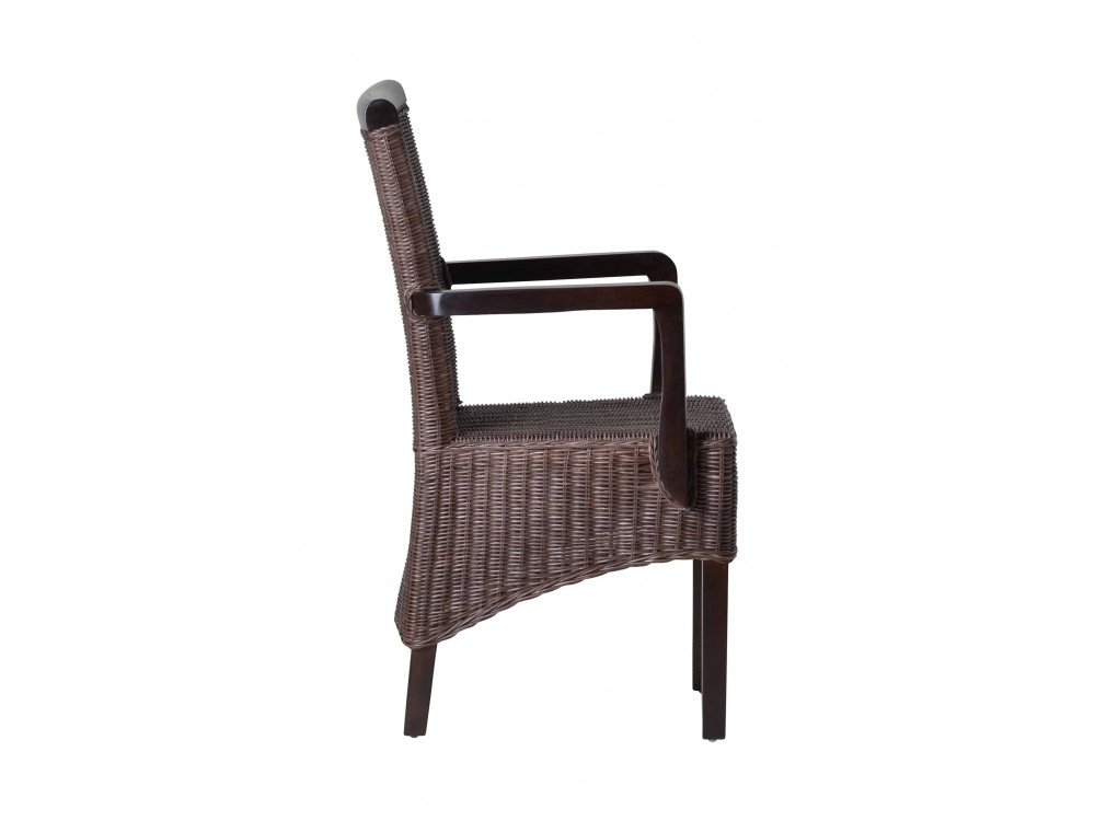 Armlehnstuhl Rattan Modern Mahagoni Braun