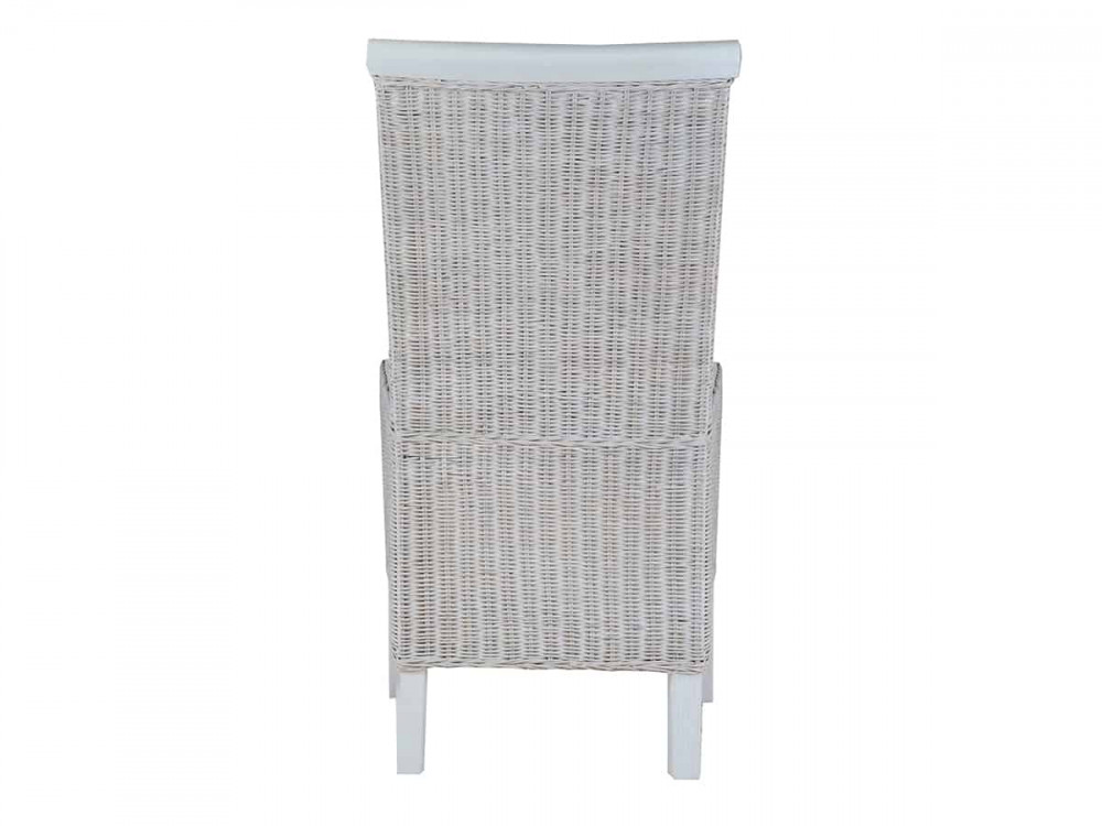 Esszimmerstuhl  Modern Mahagoni Weiß