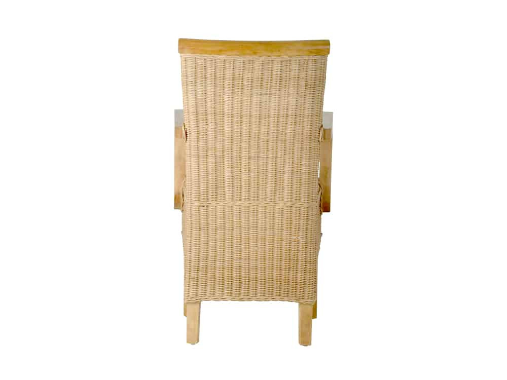 Armlehnstuhl Rattan Modern Mahagoni Rattan natur