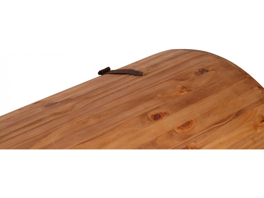 Truhe Mexico Möbel Landhaus Pinie Honig