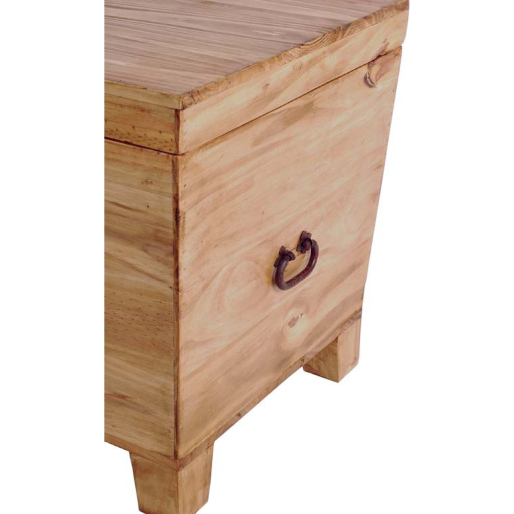 Truhe Mexico Möbel Landhaus Pinie Honig