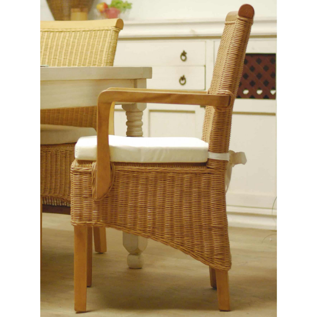 Armlehnstuhl Rattan Modern Mahagoni Rattan natur
