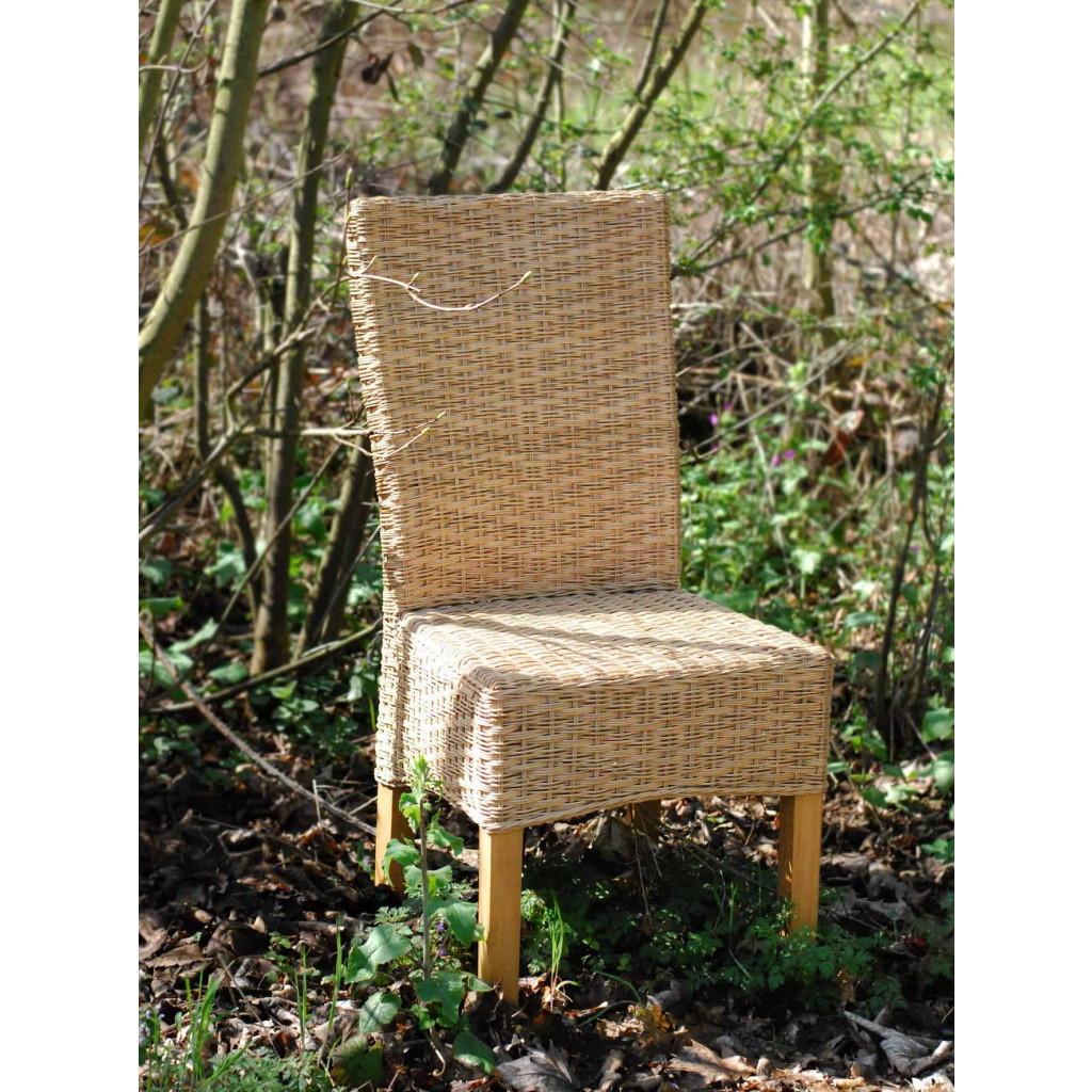 Esszimmerstuhl  Modern Honig