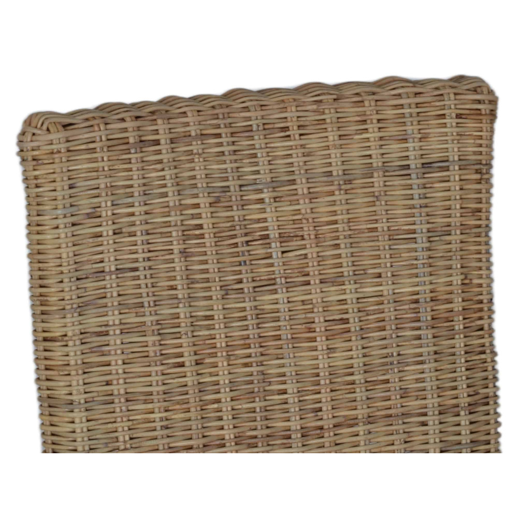 Esszimmerstuhl Rattan Modern Rattan Honig