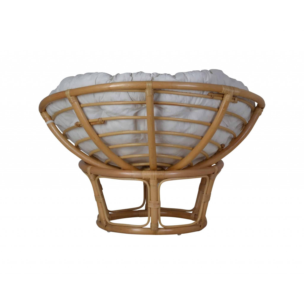 Sessel Rattan Modern Rattan Honig