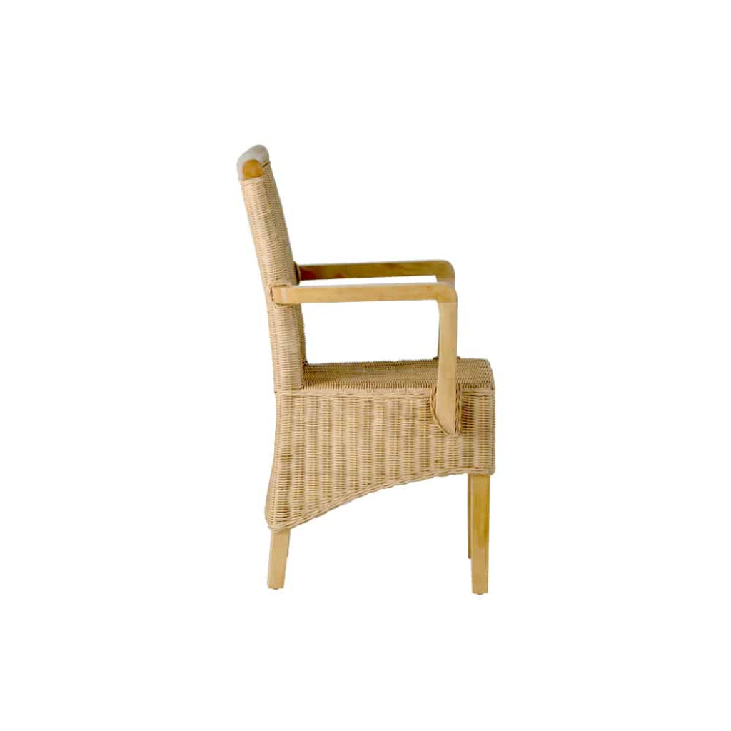 Armlehnstuhl Rattan Modern Mahagoni Rattan natur