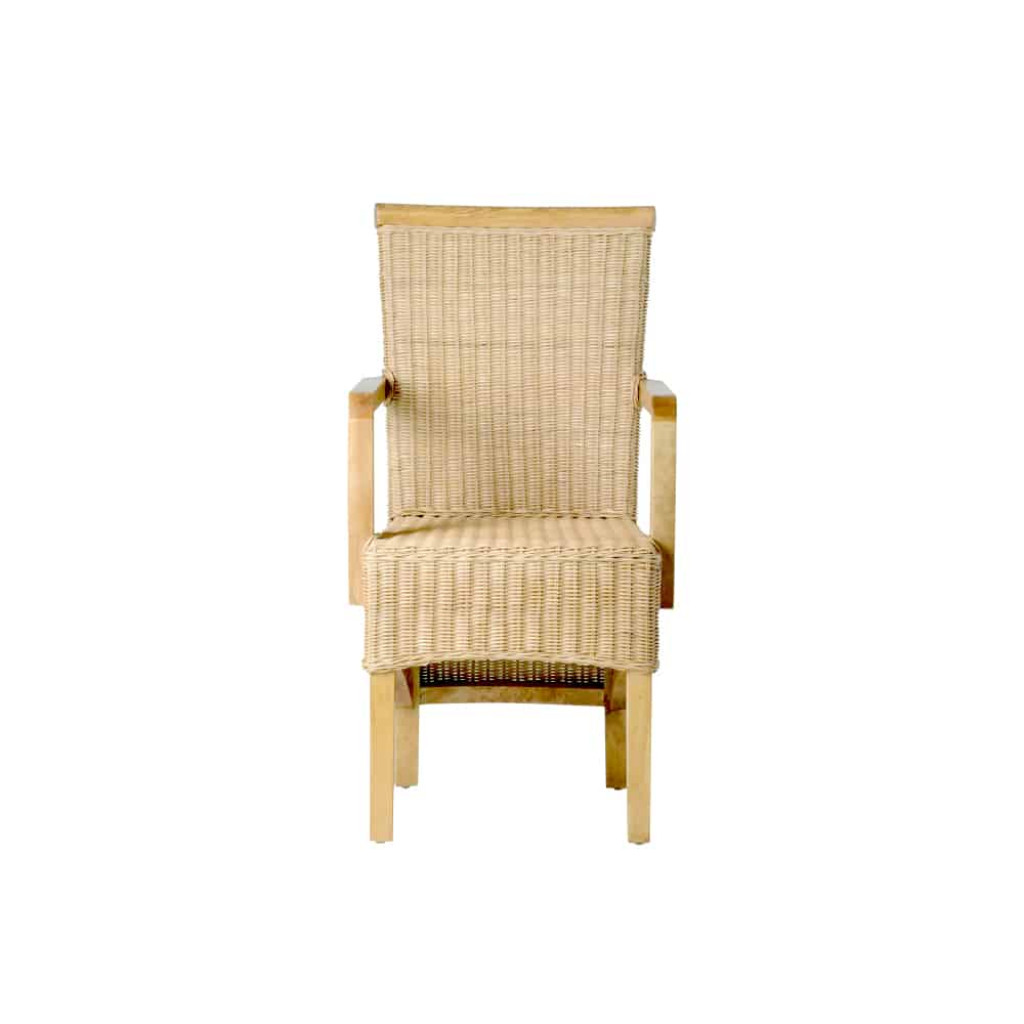 Armlehnstuhl Rattan Modern Mahagoni Rattan natur