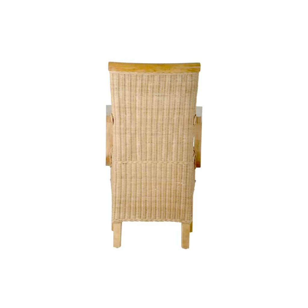 Armlehnstuhl Rattan Modern Mahagoni Rattan natur