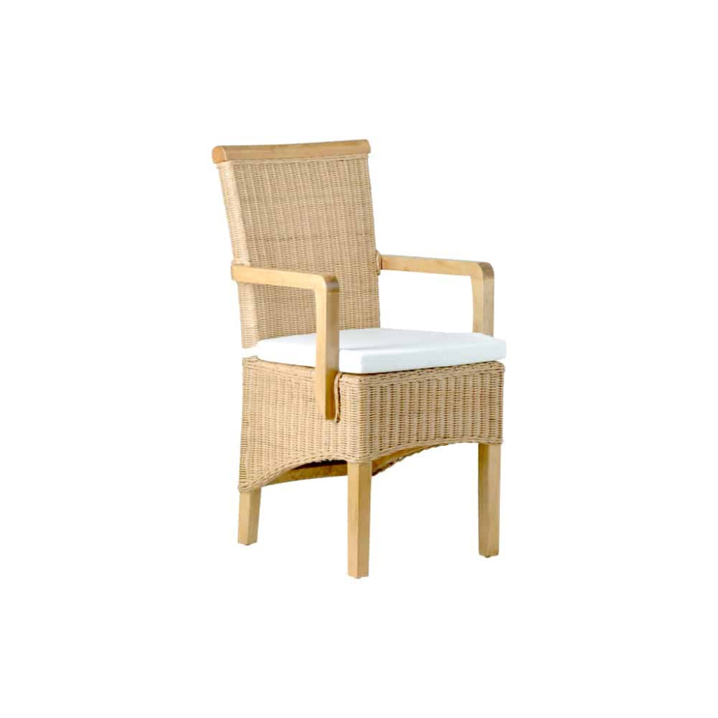 Armlehnstuhl Rattan Modern Mahagoni Rattan natur