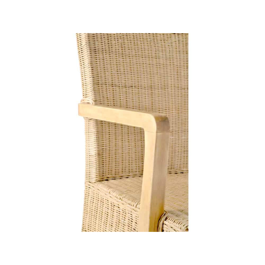 Armlehnstuhl Rattan Modern Mahagoni Rattan natur