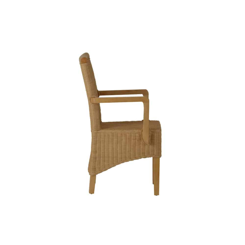 Armlehnstuhl Rattan Modern Mahagoni Rattan natur