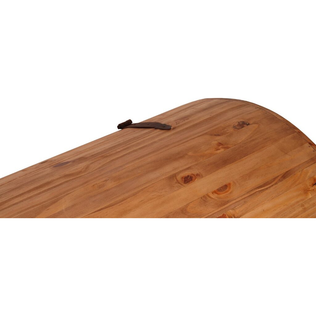 Truhe Mexico Möbel Landhaus Pinie Honig