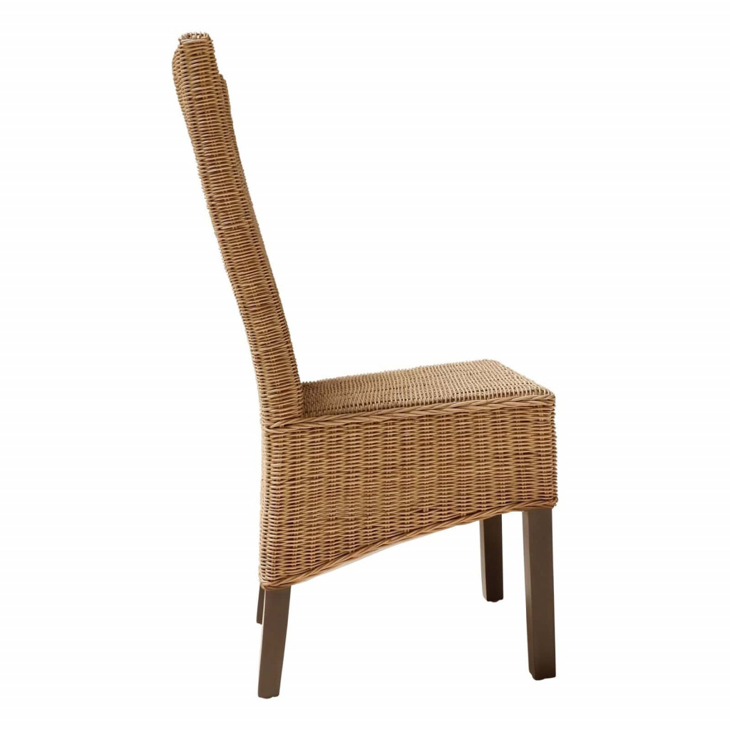 Esszimmerstuhl Rattan Modern Honig