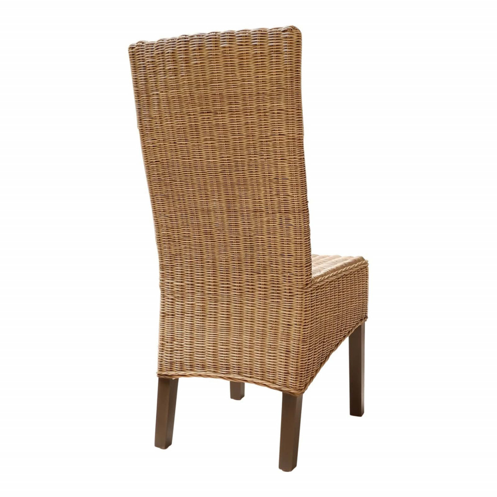 Esszimmerstuhl Rattan Modern Honig
