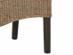 Esszimmerstuhl Rattan Modern Rattan Honig