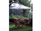 Schirm  Gartenmöbel Outdoor Modern Teak Weiß