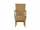 Armlehnstuhl Rattan Modern Mahagoni Rattan natur