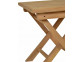 Gartentisch  Gartenmöbel Outdoor Modern Teak Honig