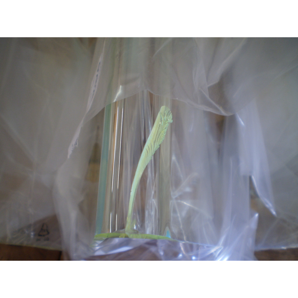 Zeitungsständer  Modern Gelb