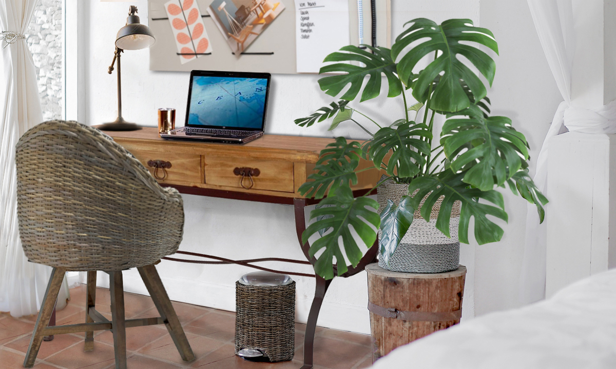 die besten Pflanzen fürs Schlafzimmer | MiaMöbel