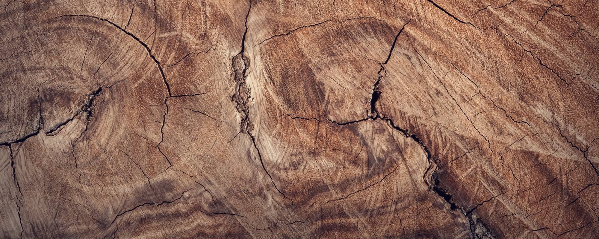 Massivholz Holzmuster