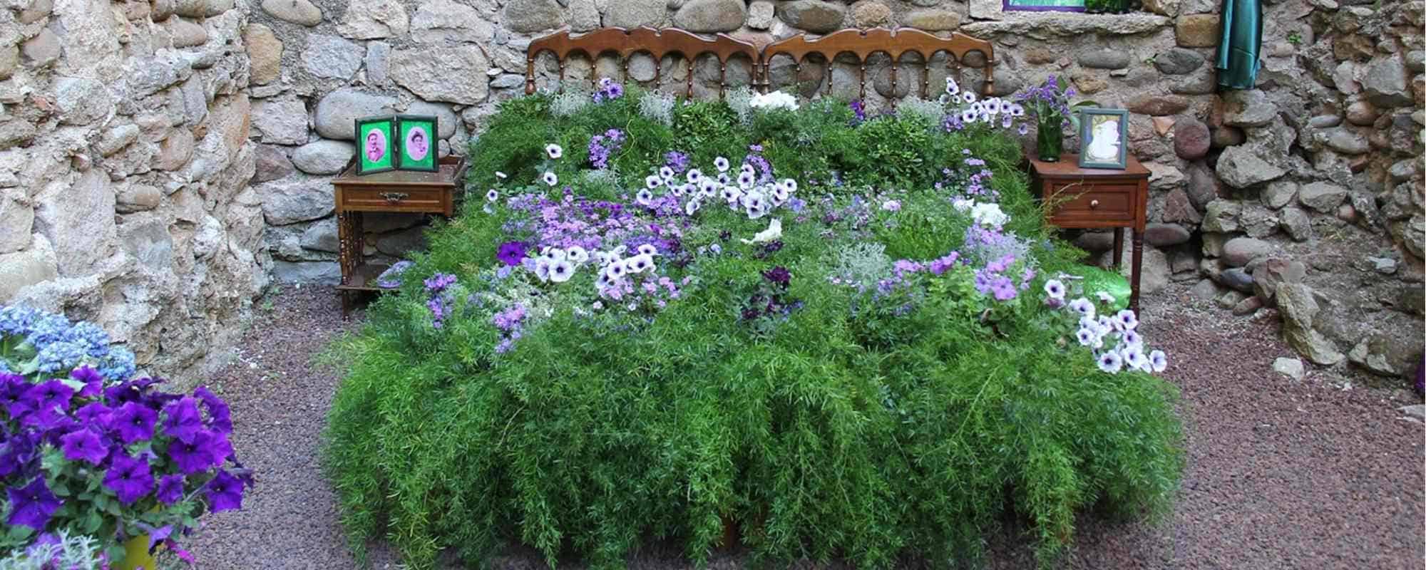 blühendes Bett im Garten