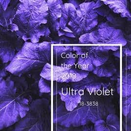 Pantone Color of the year 2018